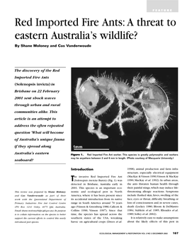 Red Imported Fire Ants: a Threat to Eastern Australia's Wildlife?