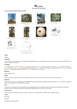 Acacia Leucoclada Subsp. Leucoclada Occurrence Map