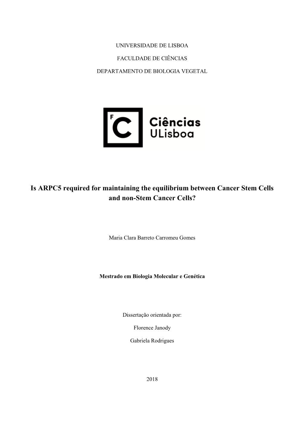 Is ARPC5 Required for Maintaining the Equilibrium Between Cancer Stem Cells and Non-Stem Cancer Cells?