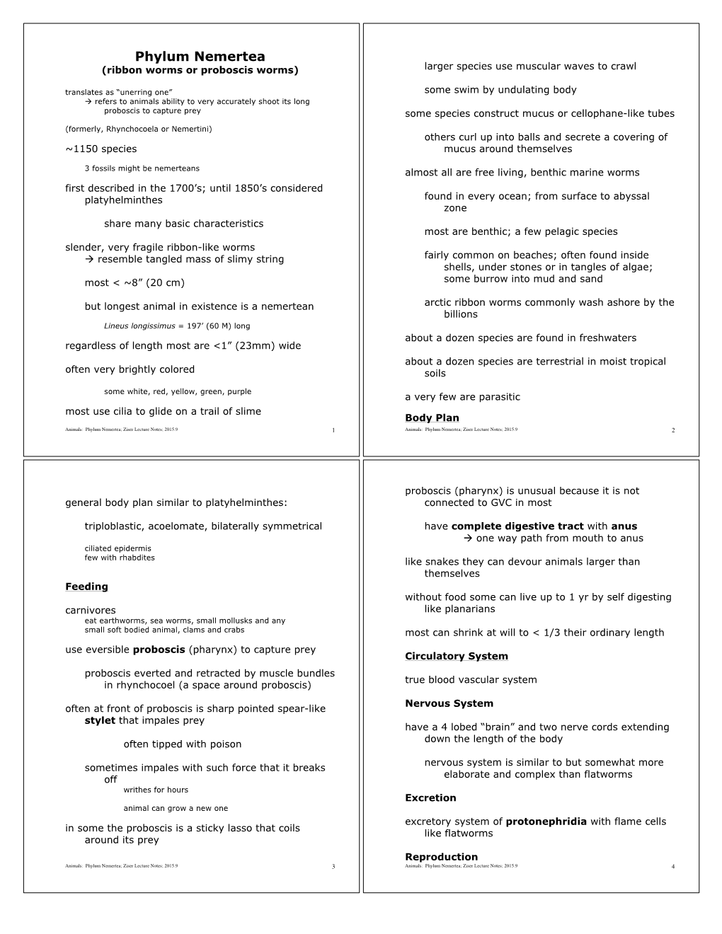 Phylum Nemertea.Pdf