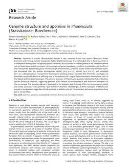 Genome Structure and Apomixis in Phoenicaulis (Brassicaceae; Boechereae)