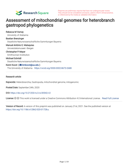 Assessment of Mitochondrial Genomes for Heterobranch Gastropod Phylogenetics