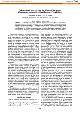 Oviposition Preference of the Mimosa Webworm, &lt;I&gt;Homadaula