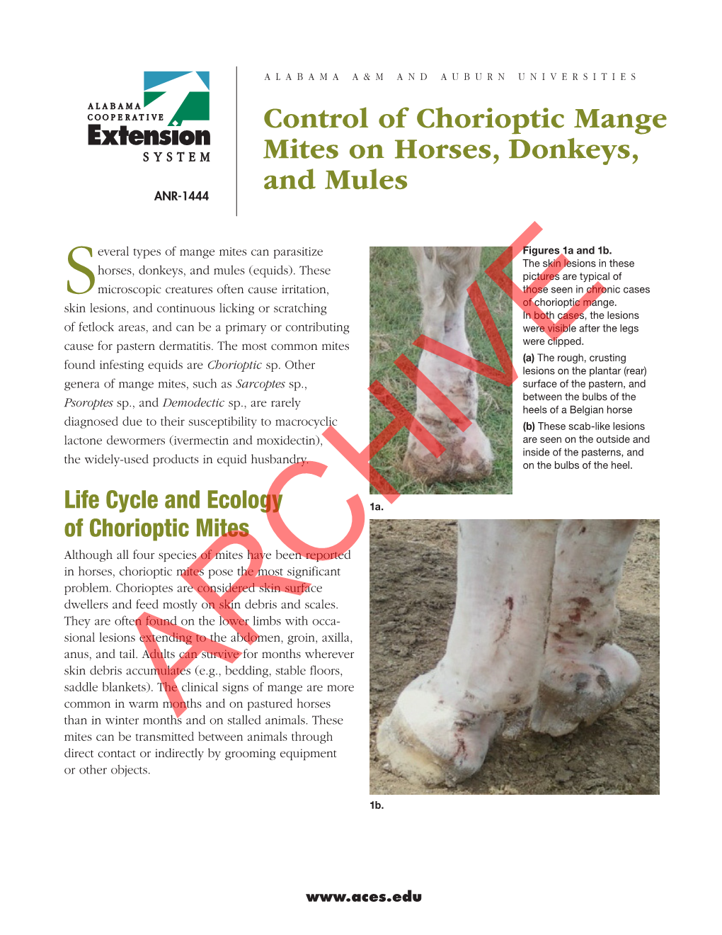 Control of Chorioptic Mange Mites on Horses, Donkeys, and Mules ANR-1444