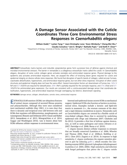 A Damage Sensor Associated with the Cuticle Coordinates Three Core Environmental Stress Responses in Caenorhabditis Elegans
