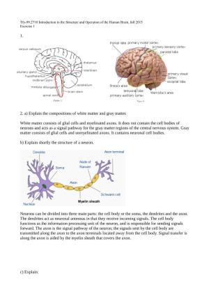 1. 2. A) Explain the Compositions of White Matter and Gray