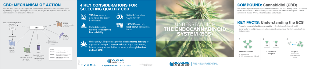 Understanding the Endocannabinoid System