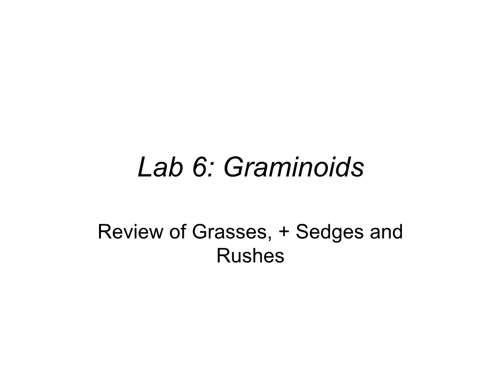 Lab 6: Graminoids