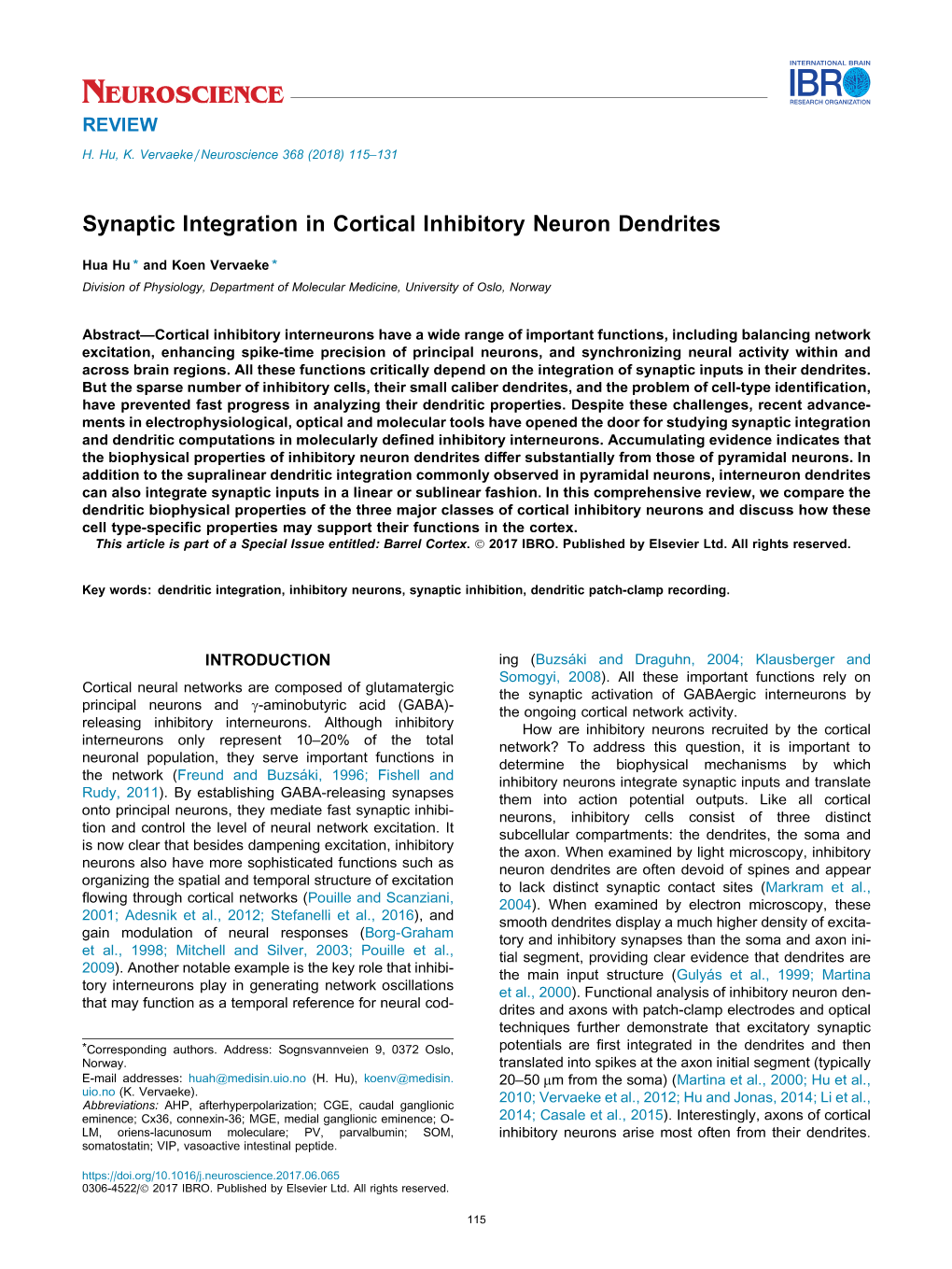 Synaptic Integration in Cortical Inhibitory Neuron Dendrites