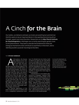 A Cinch for the Brain