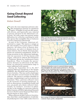 Going Clonal: Beyond Seed Collecting