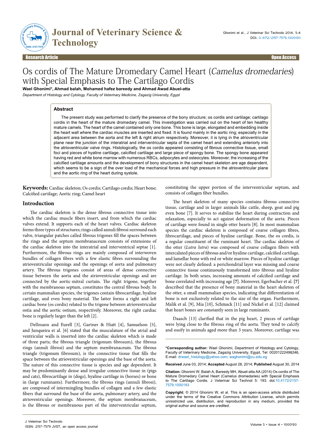 Os Cordis of the Mature Dromedary Camel Heart