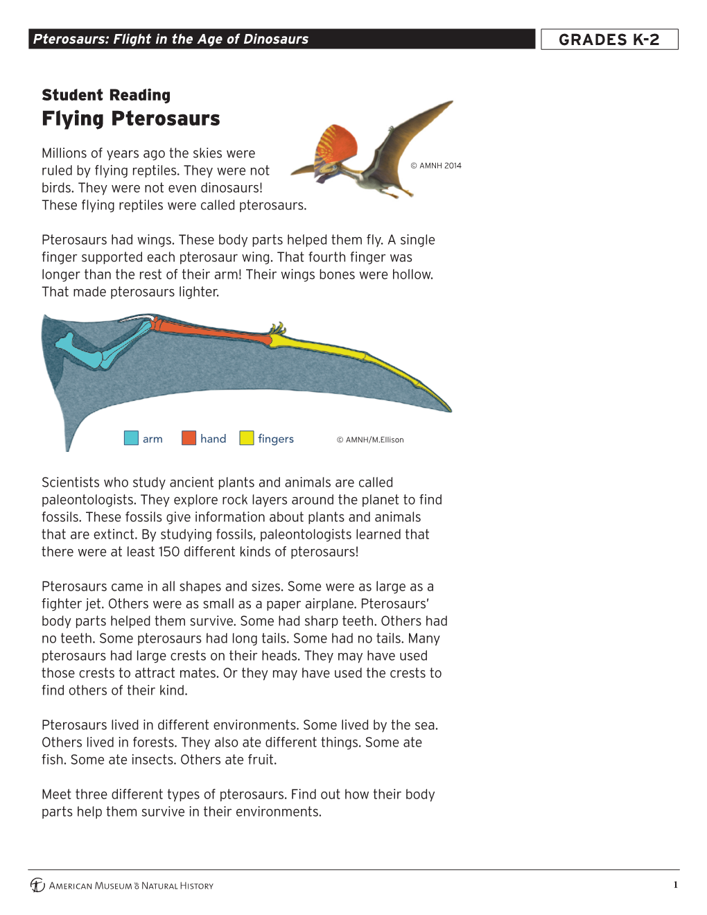 Flying Pterosaurs