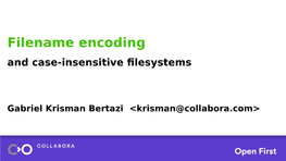 Filename Encoding and Case-Insensitive Filesystems