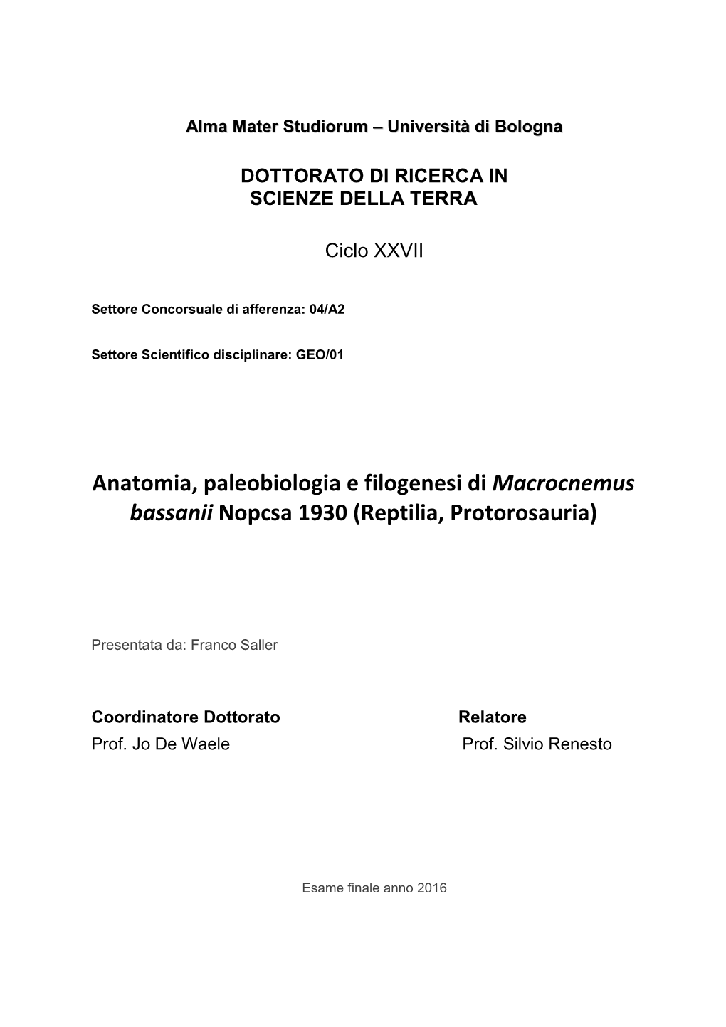 Tesi Dottorato Saller