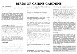 BIRDS of CAIRNS GARDENS What Will You See? Form a Pool Would Be Suitable