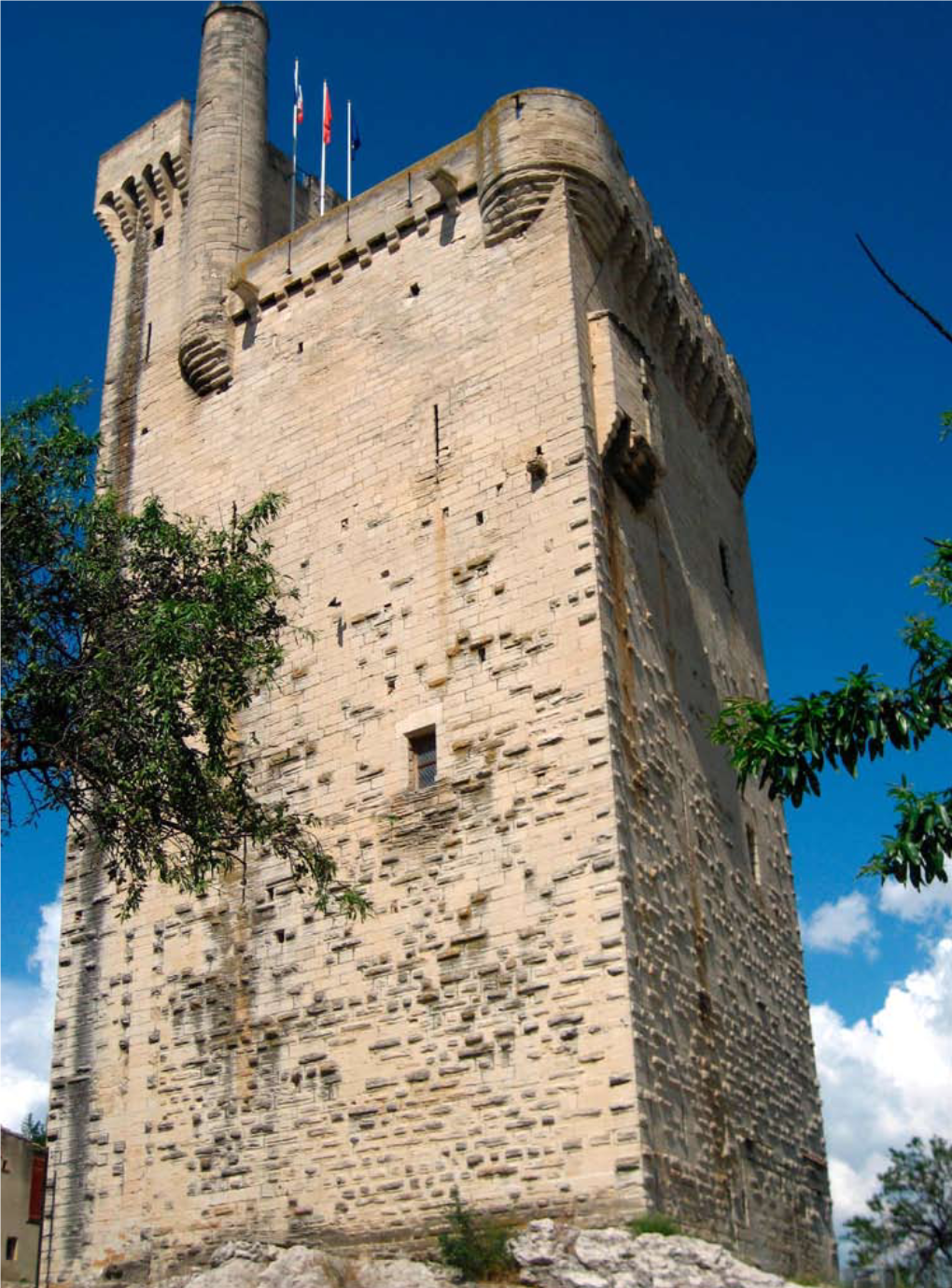 Les Tours Quadrangulaires Du Rhône Gardois : Étude Métrologique Et Volumétrique