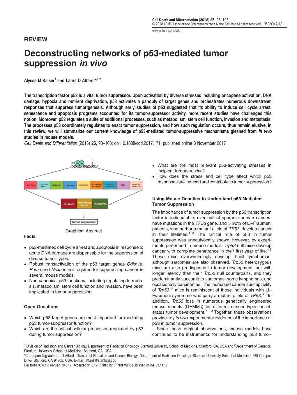 Deconstructing Networks of P53-Mediated Tumor Suppression in Vivo