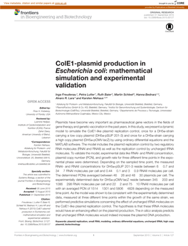 Cole1-Plasmid Production in Escherichia Coli: Mathematical Simulation and Experimental Validation