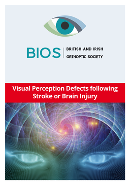 Visual Perception Defects Following Stroke Or Brain Injury