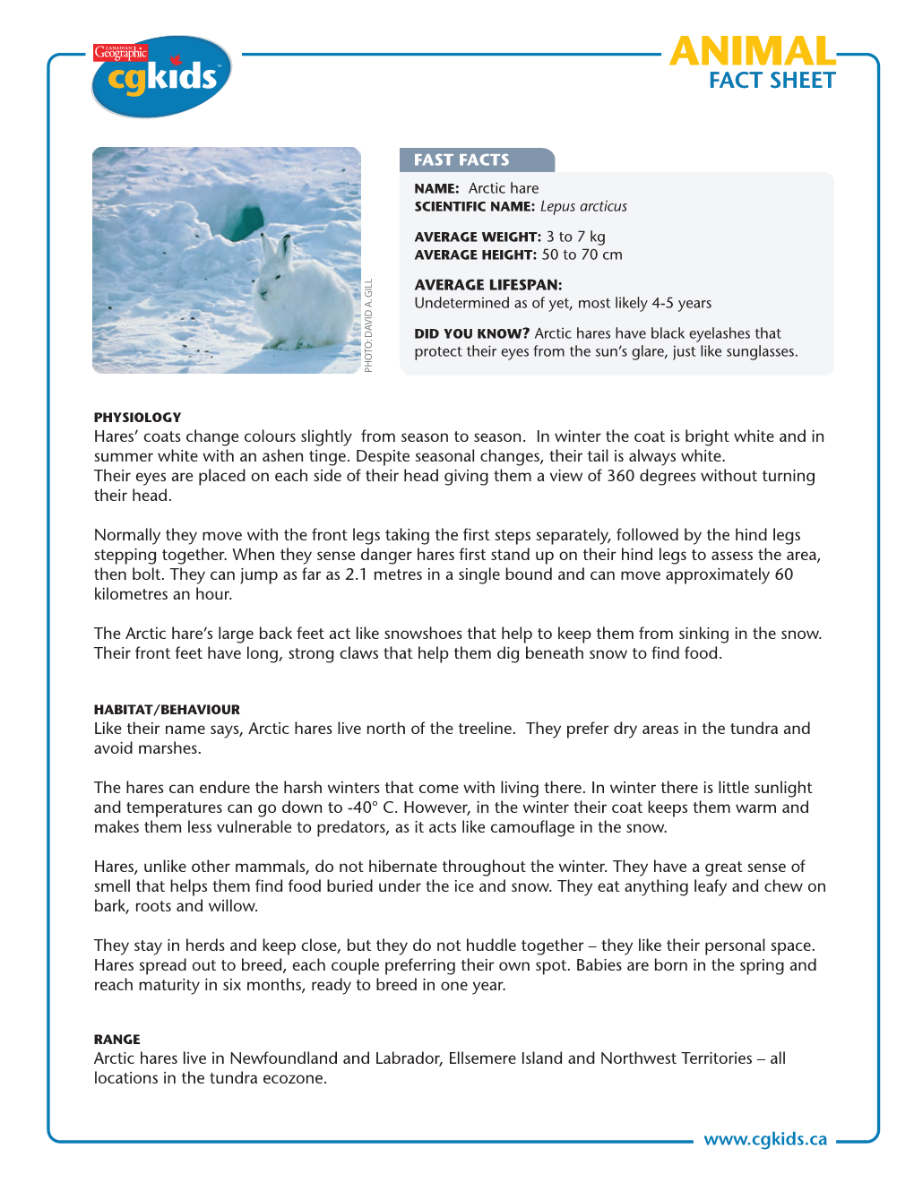 Animal Fact Sheet