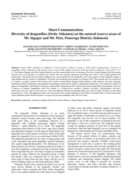 Genetic Variations of Lansium Domesticum Corr