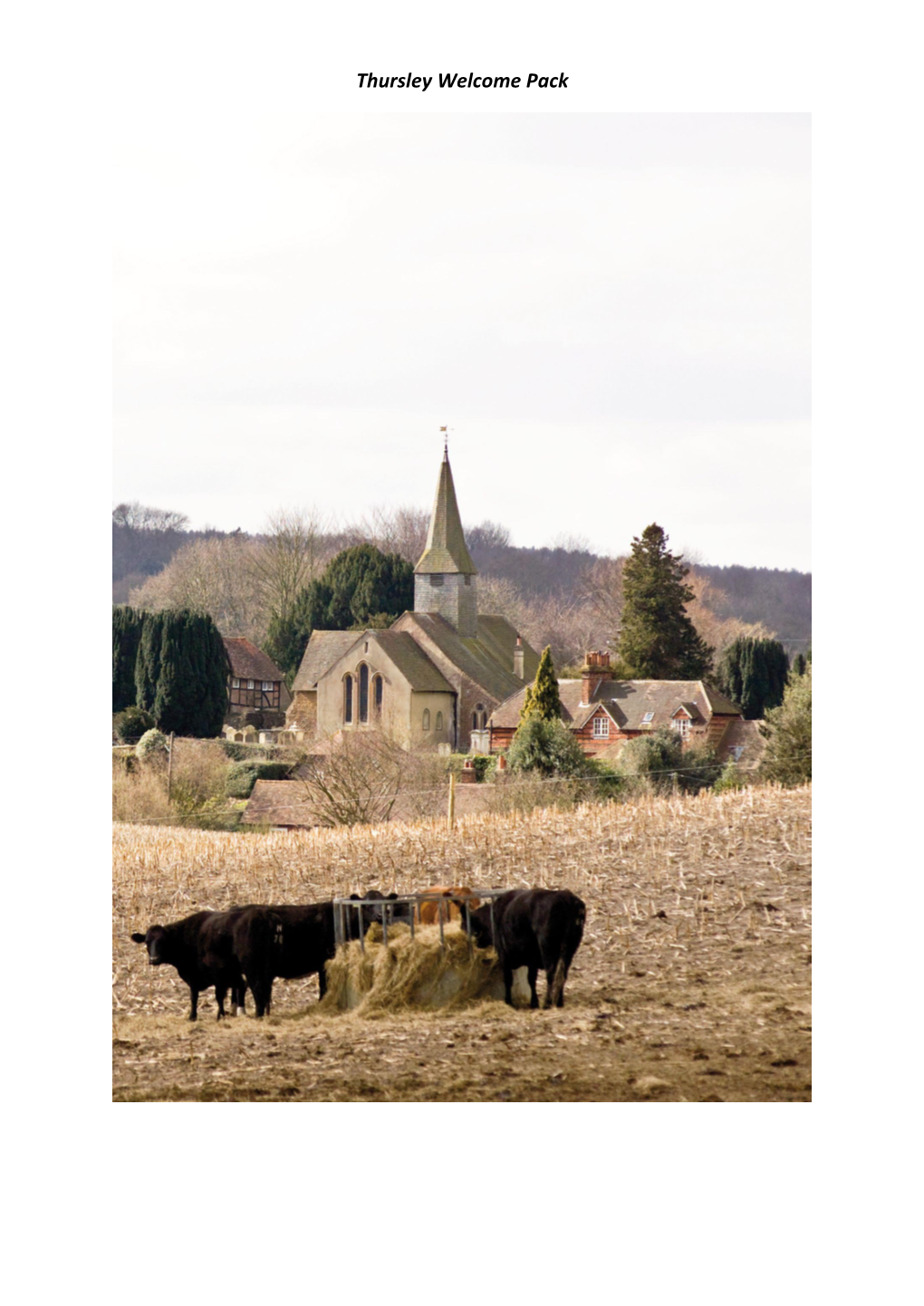 Thursley Welcome Pack