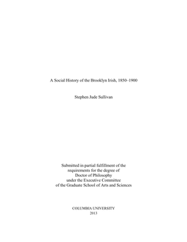 A Social History of the Brooklyn Irish, 1850–1900