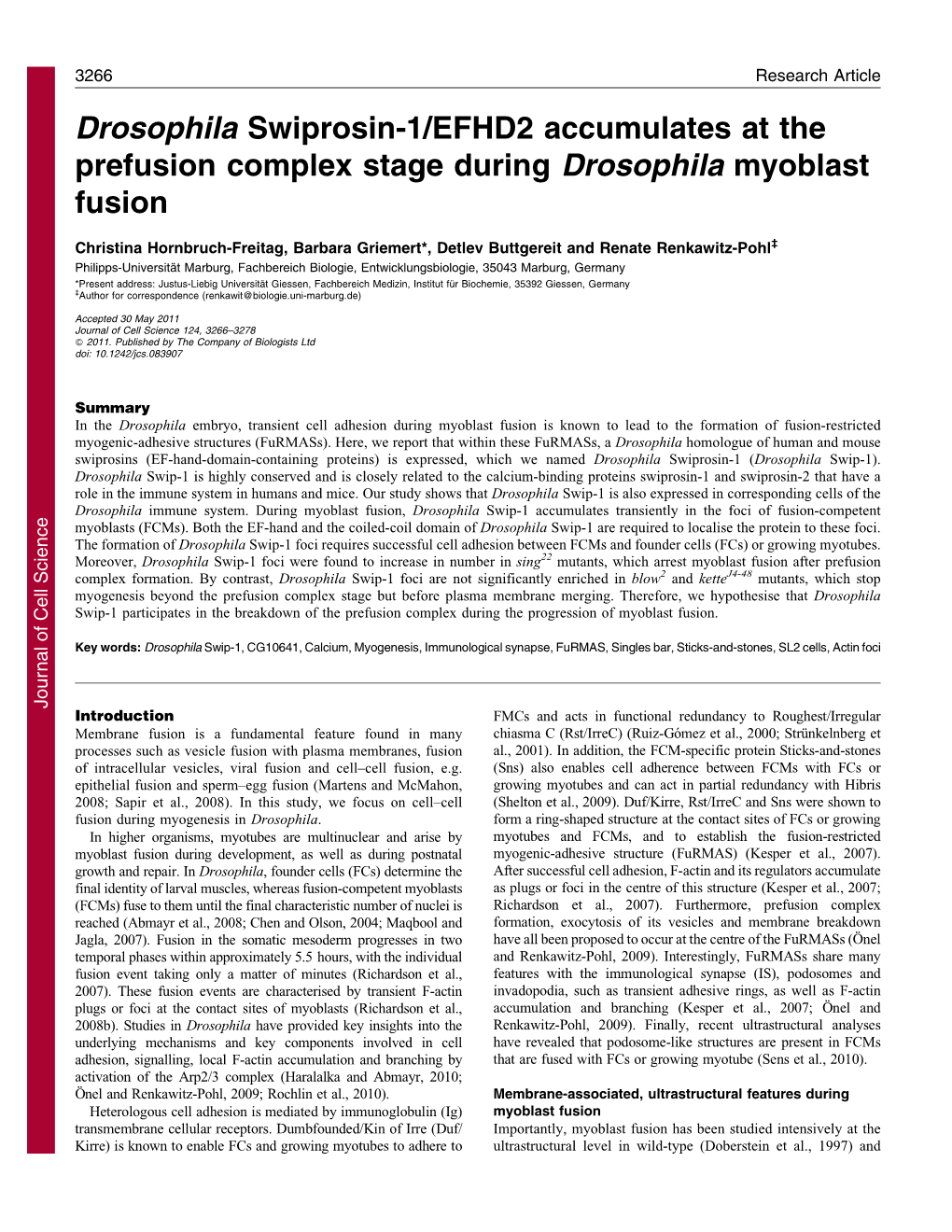 Drosophila Swiprosin-1/EFHD2 Accumulates at the Prefusion Complex Stage During Drosophila Myoblast Fusion