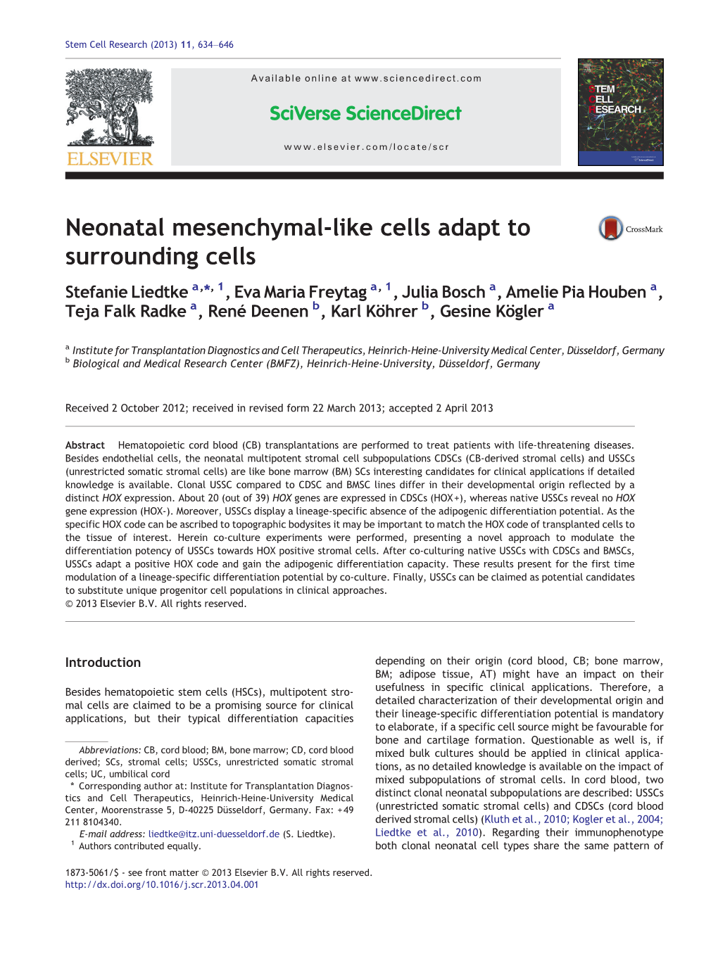 Neonatal Mesenchymal-Like Cells Adapt to Surrounding Cells