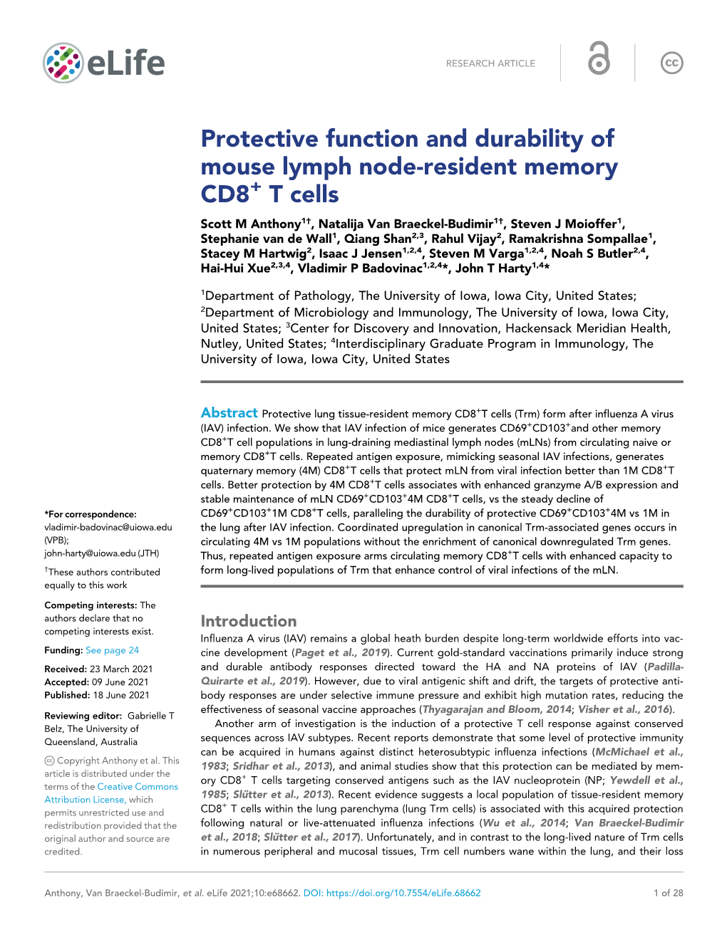 Protective Function and Durability of Mouse Lymph Node-Resident