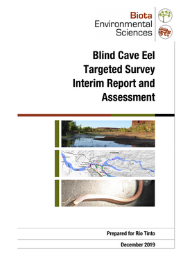 Blind Cave Eel Targeted Survey Interim Report and Assessment