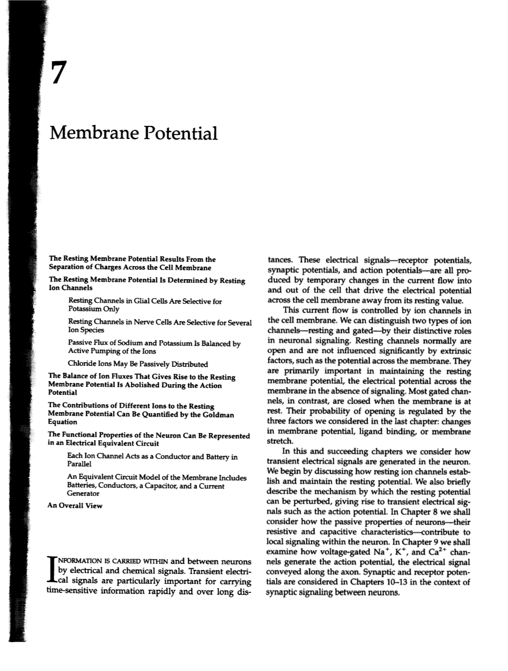 Membrane Potential