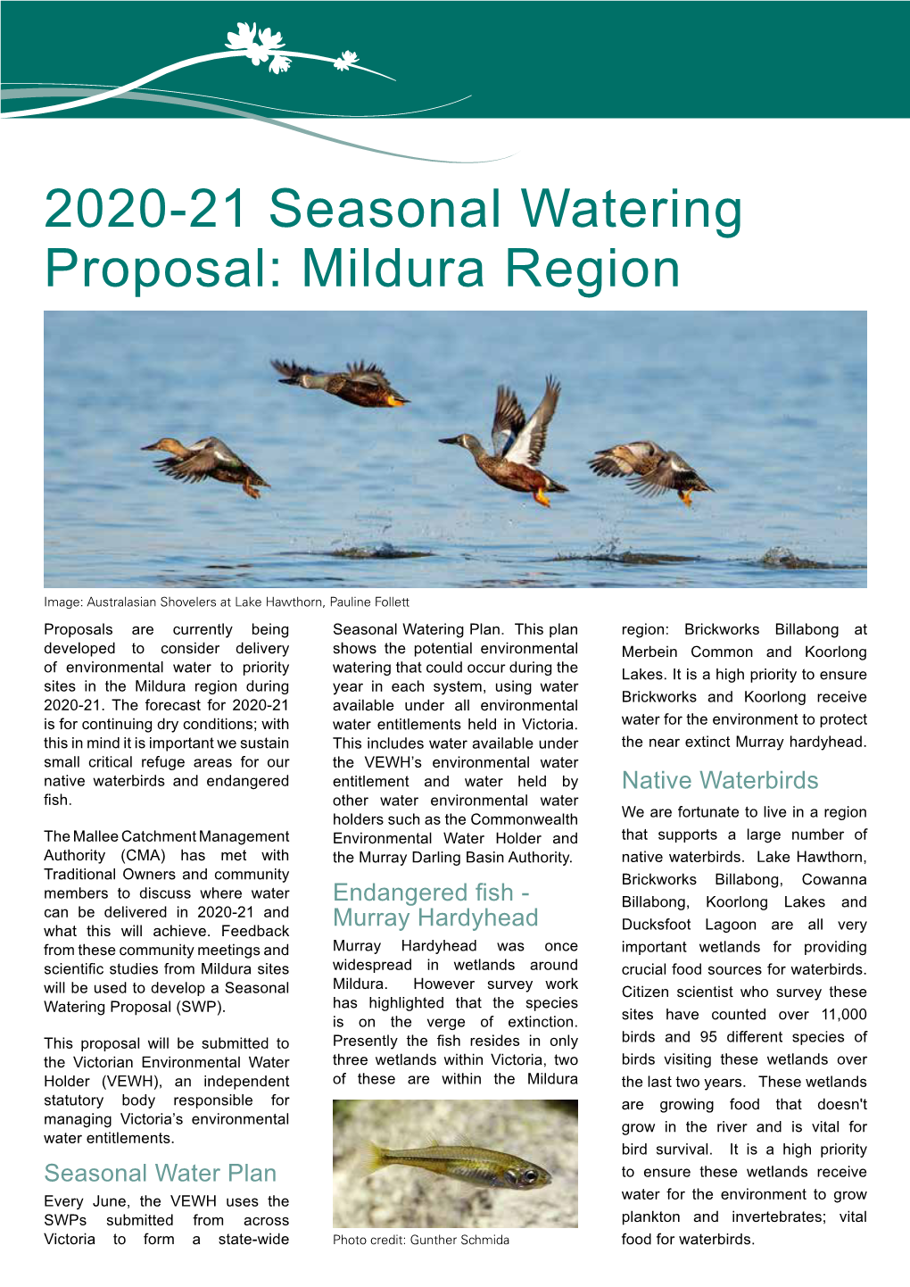 2020-21 Seasonal Watering Proposal: Mildura Region