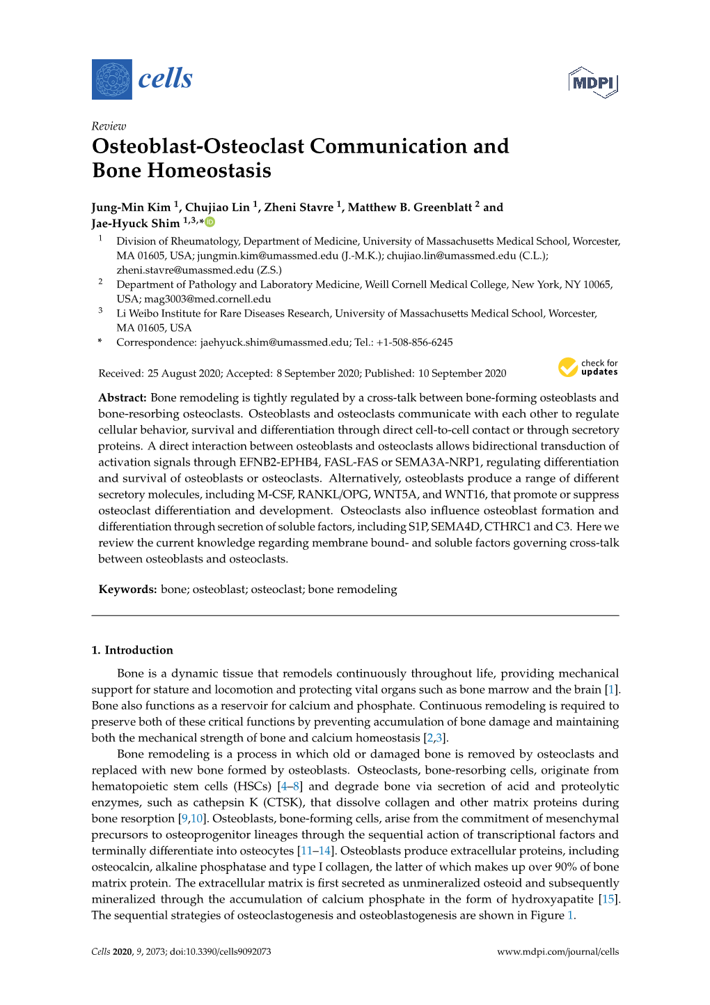 Osteoblast-Osteoclast Communication and Bone Homeostasis