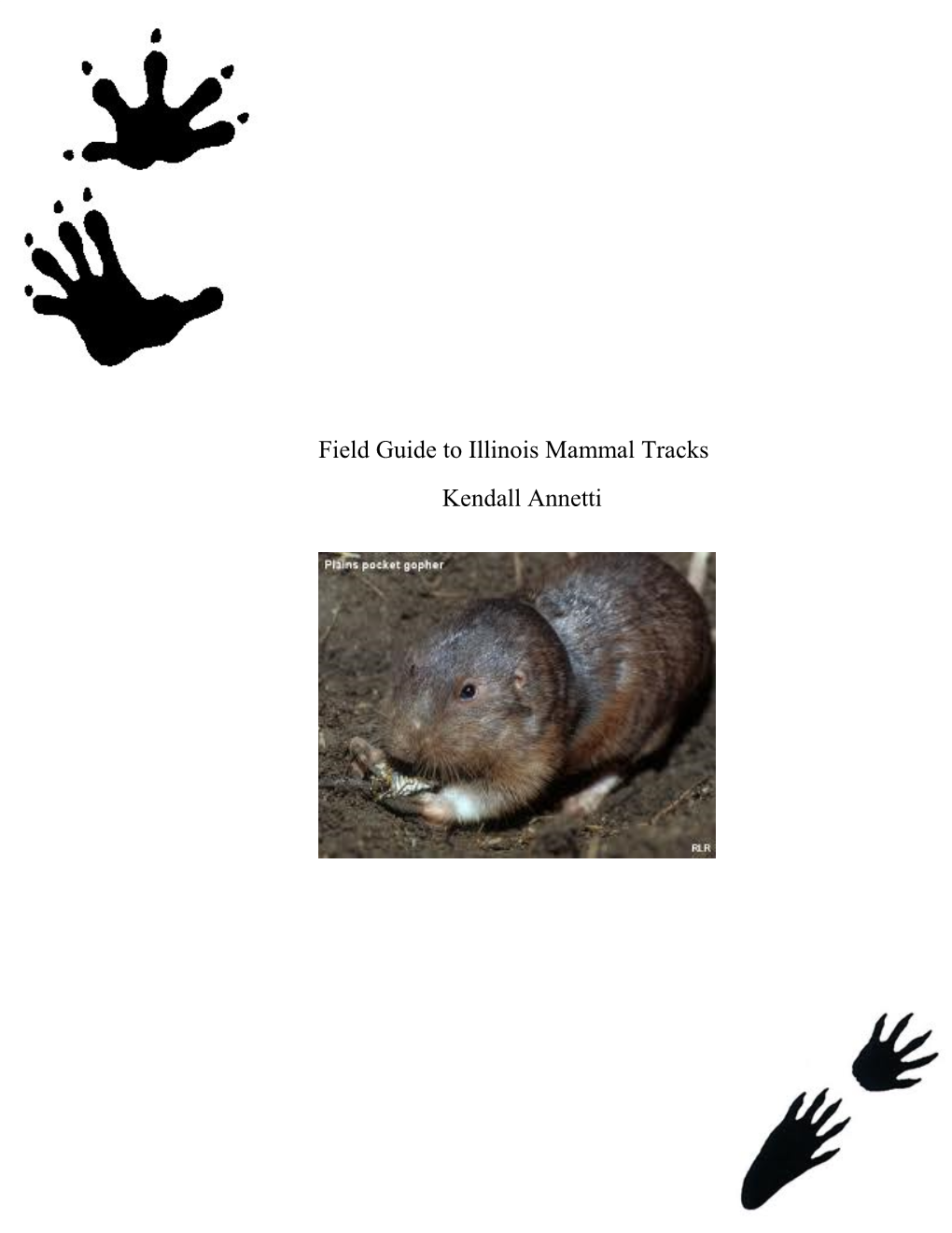 Field Guide to Illinois Mammal Tracks Kendall Annetti