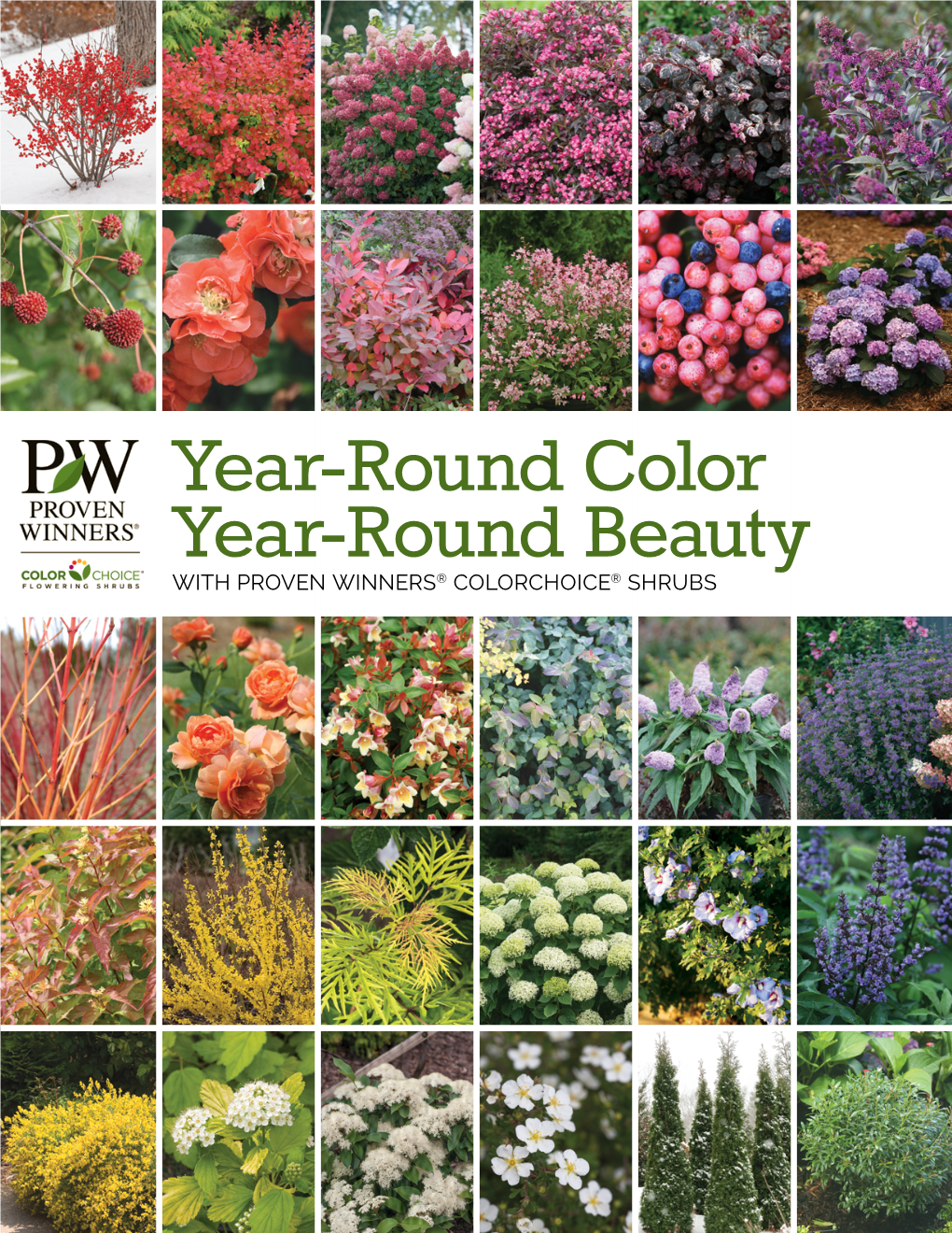 Year-Round Color Year-Round Beauty