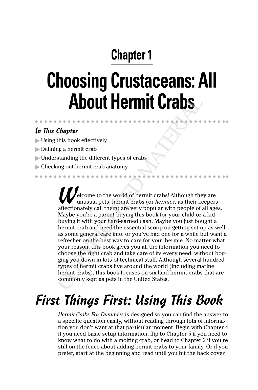 Choosing Crustaceans: All About Hermit Crabs