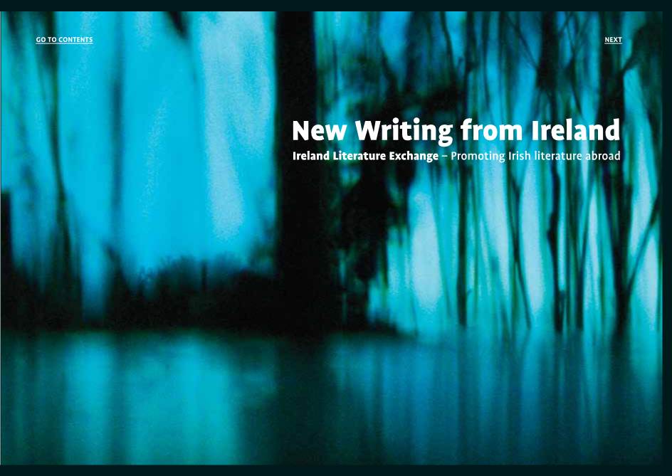 New Writing from Ireland Ireland Literature Exchange – Promoting Irish Literature Abroad PREVIOUS RETURNGO to to CONTENTS CONTENTS NEXT