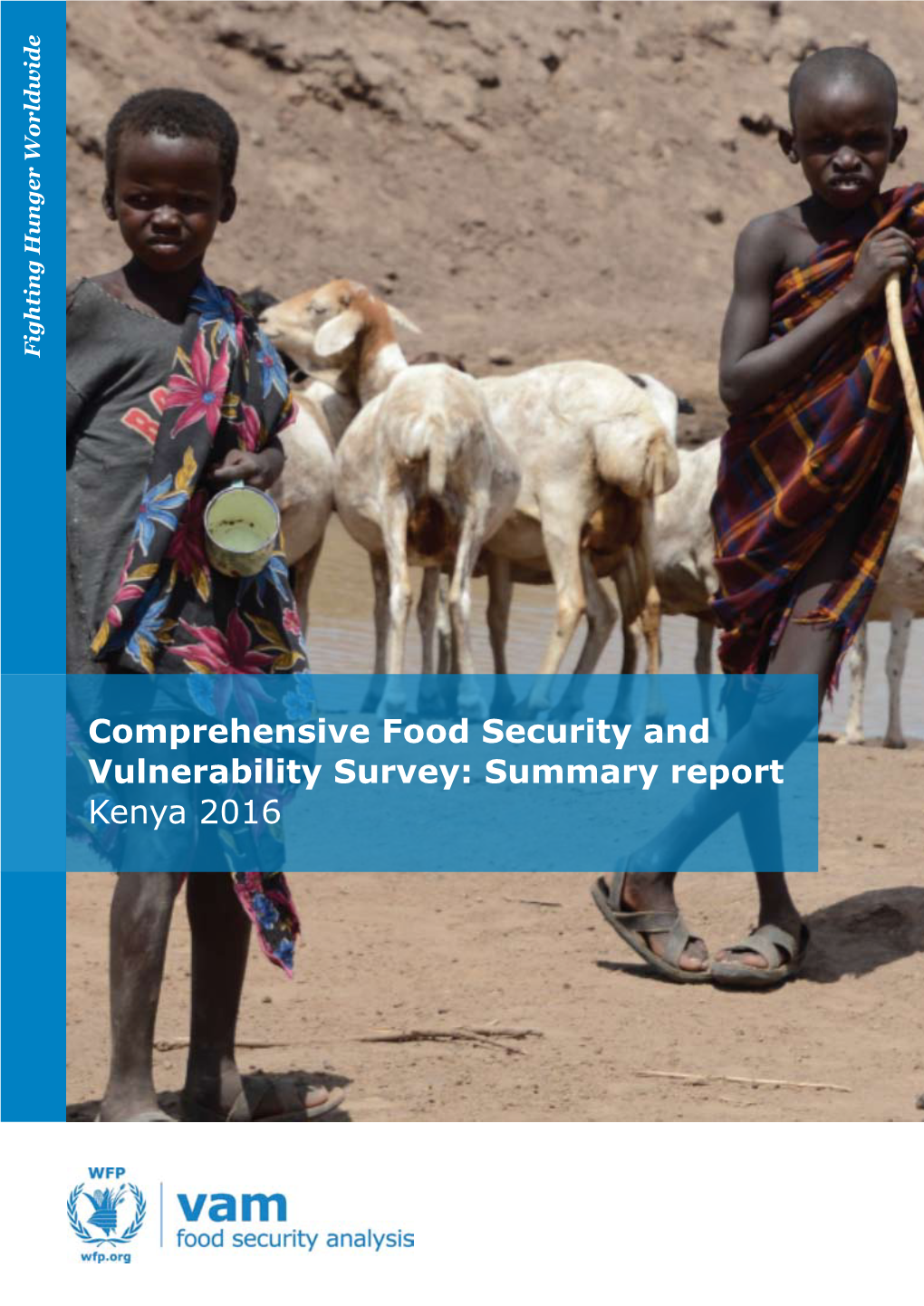 Comprehensive Food Security and Vulnerability Survey