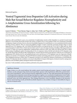 Ventral Tegmental Area Dopamine Cell Activation During Male Rat