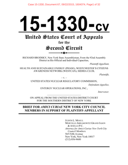 Brief for Amici Curiae New York City Council Members in Support of Plaintiff-Appellant