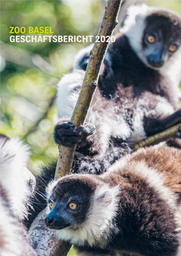 Zoo Basel Geschäftsbericht 2020