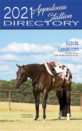 Lads Lexicon 2012 Aphc Stallion Lads Straw Man X My Fair Lexy (JC)