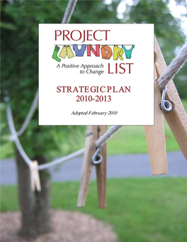 Strategic Plan 2010-2013