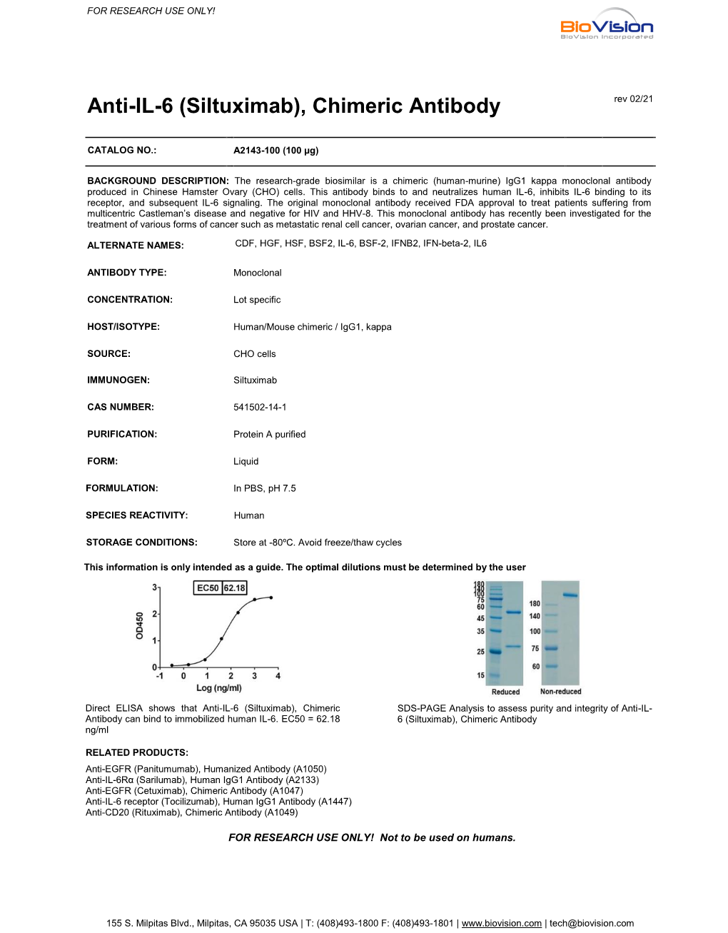 Chimeric Antibody