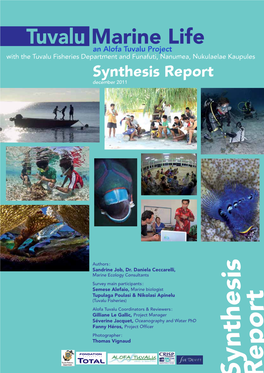 Synthesis Report December 2011