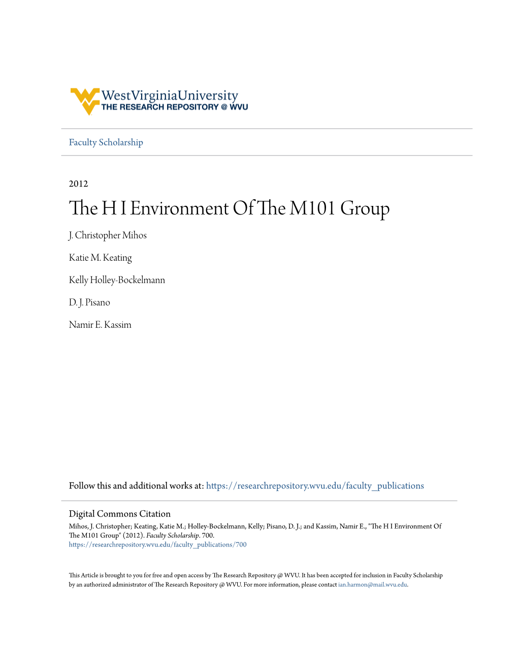 THE H I ENVIRONMENT of the M101 GROUP