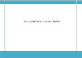 Nagaur District Survey Report