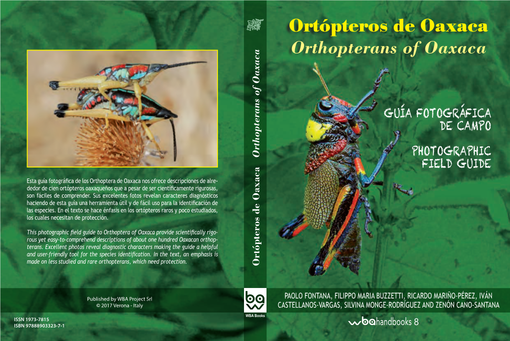 Orthopterans of Oaxaca